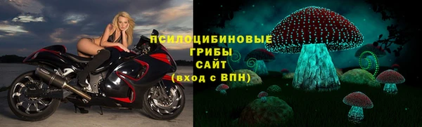 дживик Абаза