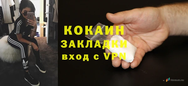 дживик Абаза
