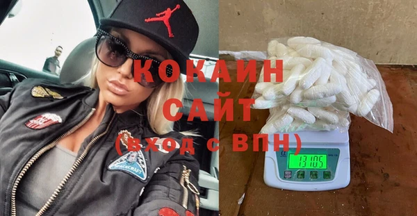 дживик Абаза