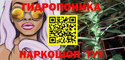 молекула духа Северобайкальск