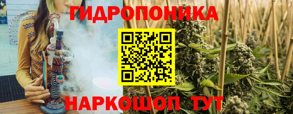 Конопля семена Советский